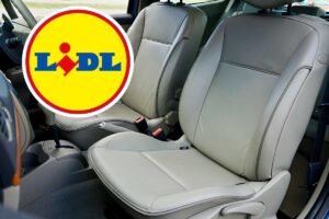interni auto e logo Lidl