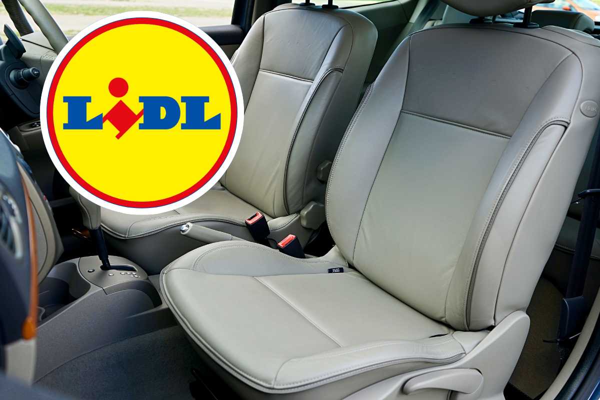 interni auto e logo Lidl