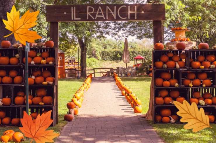 ingresso del ranch idea village con i campi di zucche
