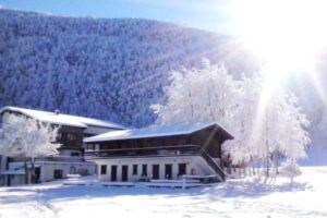 uno scorcio di prato spilla